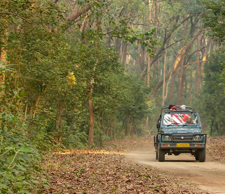 Jeep Safari home